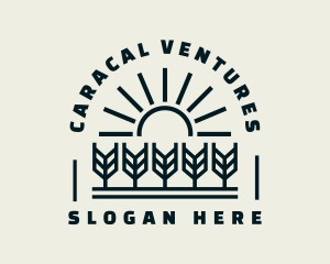 Sun Wheat Harvest logo design