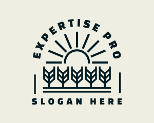 Sun Wheat Harvest logo design