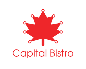 Ottawa - Red Canadian Maple Leaf Technology logo design