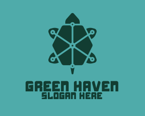 Digital Green Turtle logo design