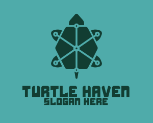 Digital Green Turtle logo design