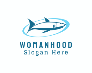 Aquatic Shark Surfing  Logo