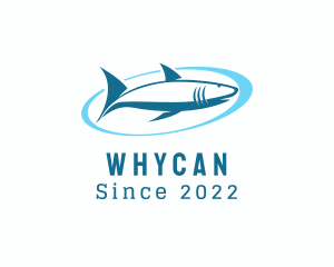 Swimming - Aquatic Shark Surfing logo design