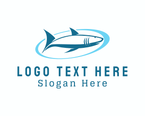 Aquatic Shark Surfing  Logo