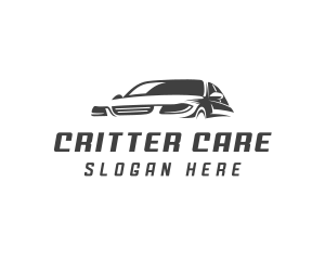 Sedan Auto Car Care logo design