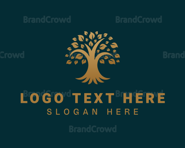 Golden Oak Tree Plant Logo