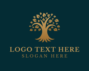 Spring - Golden Tree Plant logo design