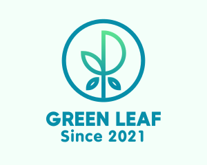 Eco Leaf Plant logo design