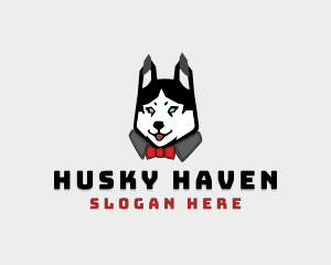 Husky Dog Character logo design