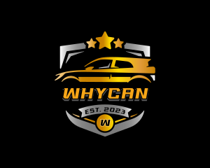 Car Auto Detailing Logo