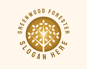 Autumn Wellness Forest logo design