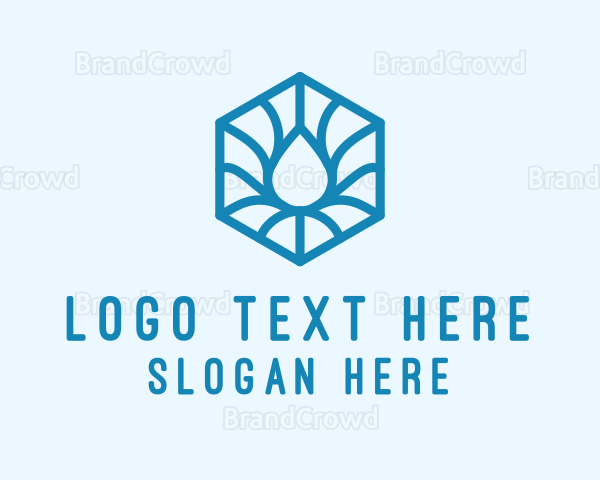 Hexagon Water Droplet Logo