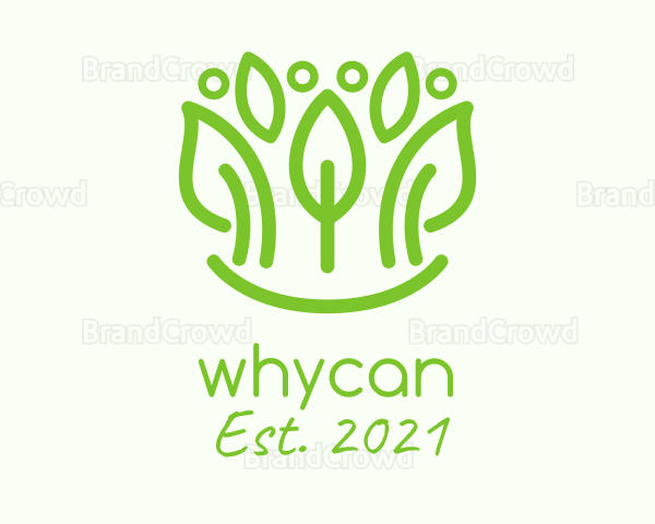 Green Botanical Leaf Logo