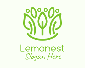 Green Botanical Leaf  Logo