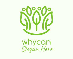Green Botanical Leaf  Logo
