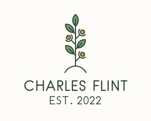Funding - Human Plant Charity logo design