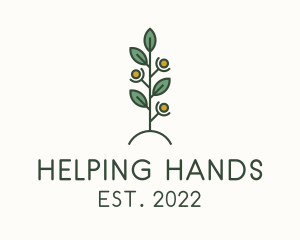 Volunteering - Human Plant Charity logo design