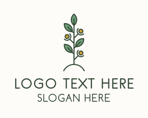 Human Plant Charity  Logo