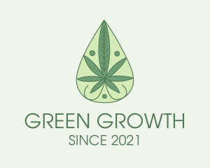 Green Weed Oil  logo design