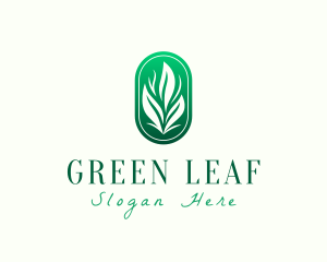 Elegant Eco Leaves logo design