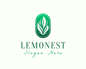 Vegetarian - Elegant Eco Leaves logo design