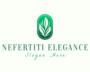 Elegant Eco Leaves logo design