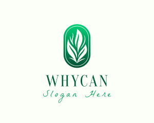 Vegan - Elegant Eco Leaves logo design