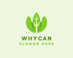 Organic Herb Leaves  Logo