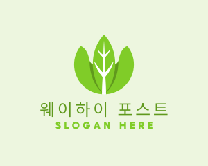 Organic Herb Leaves  logo design