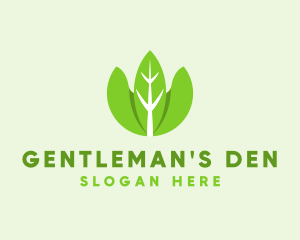 Organic Herb Leaves  logo design