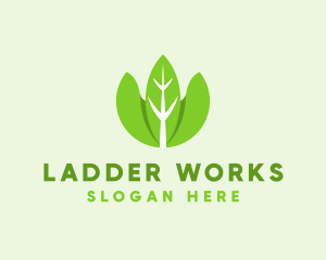 Organic Herb Leaves  logo design