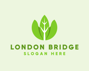 Organic Herb Leaves  logo design