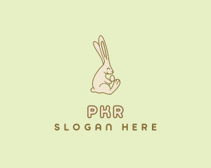 Easter Bunny Egg logo design