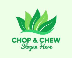 Natural Green Leaves Logo
