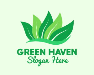 Natural Green Leaves logo design