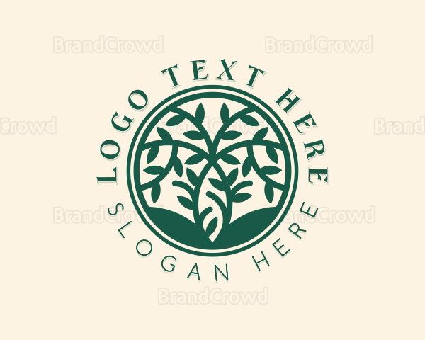 Botanical Eco Tree Logo