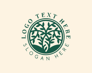 Botanical Eco Tree  Logo
