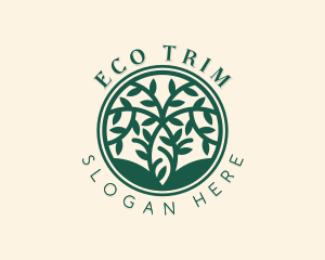 Botanical Eco Tree  logo design