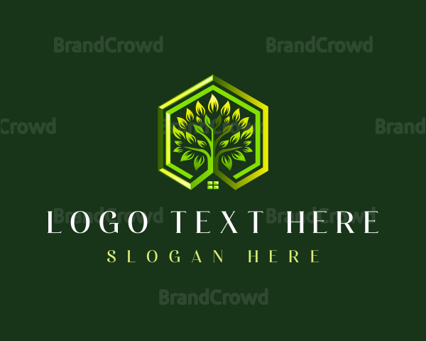 Tree Plant Hexagon Logo