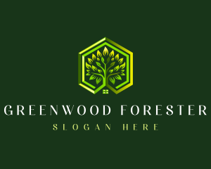 Tree Plant Hexagon logo design