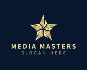 Media - Advertising Media Star logo design