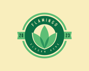 Agriculture - Vegan Farm Leaf logo design