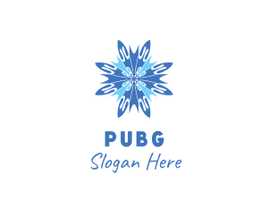 Winter Cool Snowflake Logo