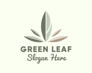 Wellness Spa Leaf  logo design