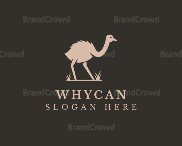 Ostrich Wildlife Zoo Logo