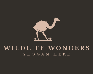 Ostrich Wildlife Zoo logo design