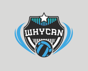 Volleyball Sports Team Logo