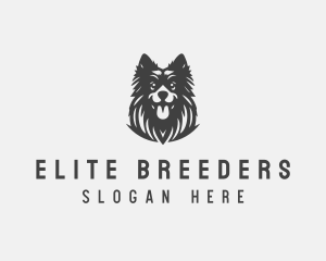 Dog Pet Breeder logo design