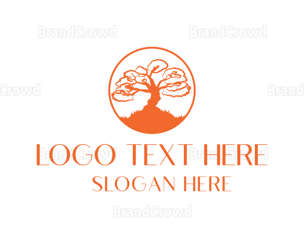 Old Big Tree Logo