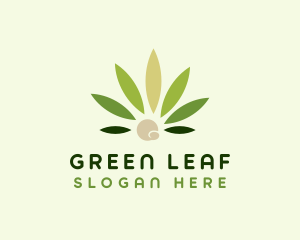 Modern Marijuana Weed logo design